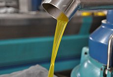 black olive, extra olive oil