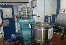 black olive, extra olive oil