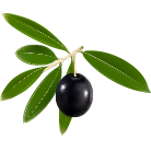 black olive, extra olive oil