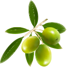 black olive, extra olive oil
